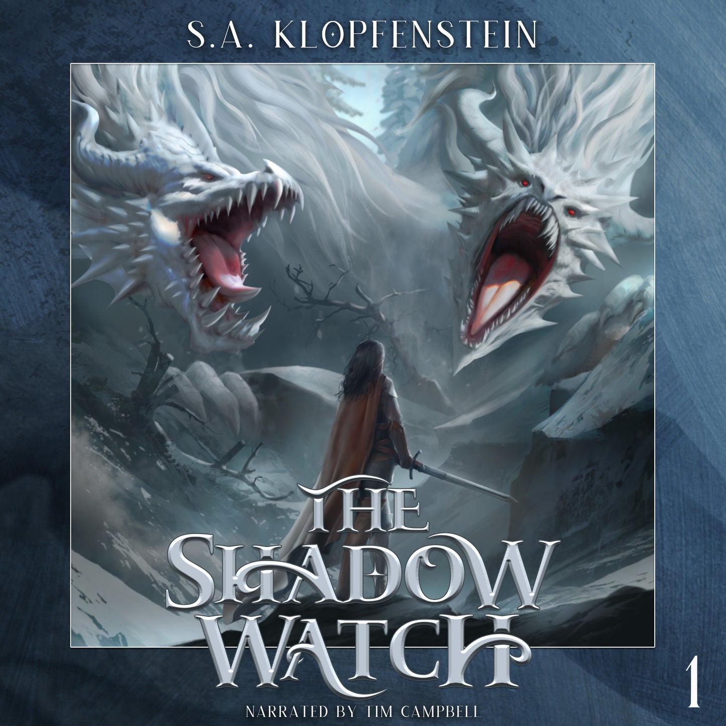 The Shadow Watch (audiobook)